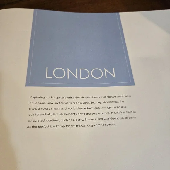 Gray Malin: Dogs: Photographs | EUC Coffee Table Book Canine Photography - Picture 11 of 12